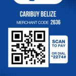 Digi Wallet Info
